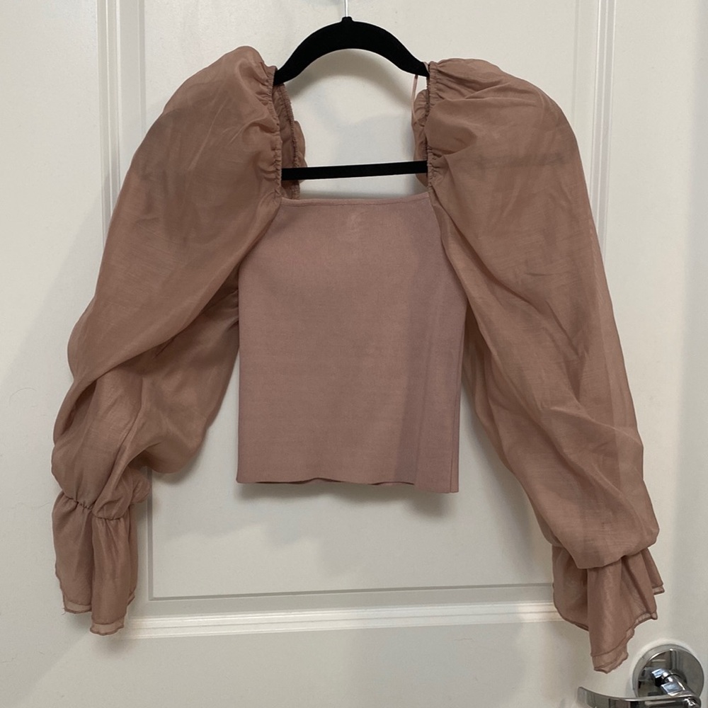 Zara Organza Sleeve Top NWT